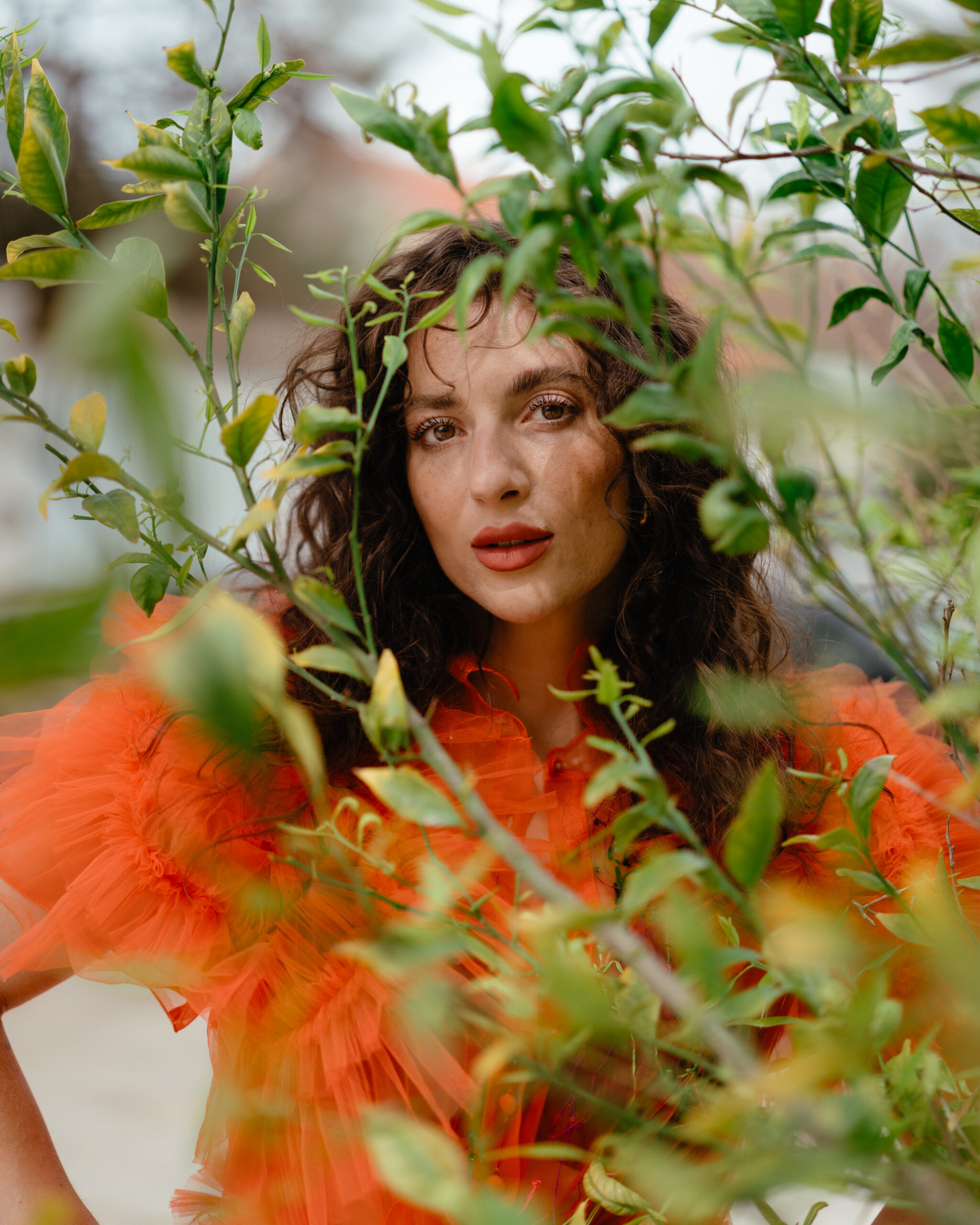 Emma Smith – Bitter Orange