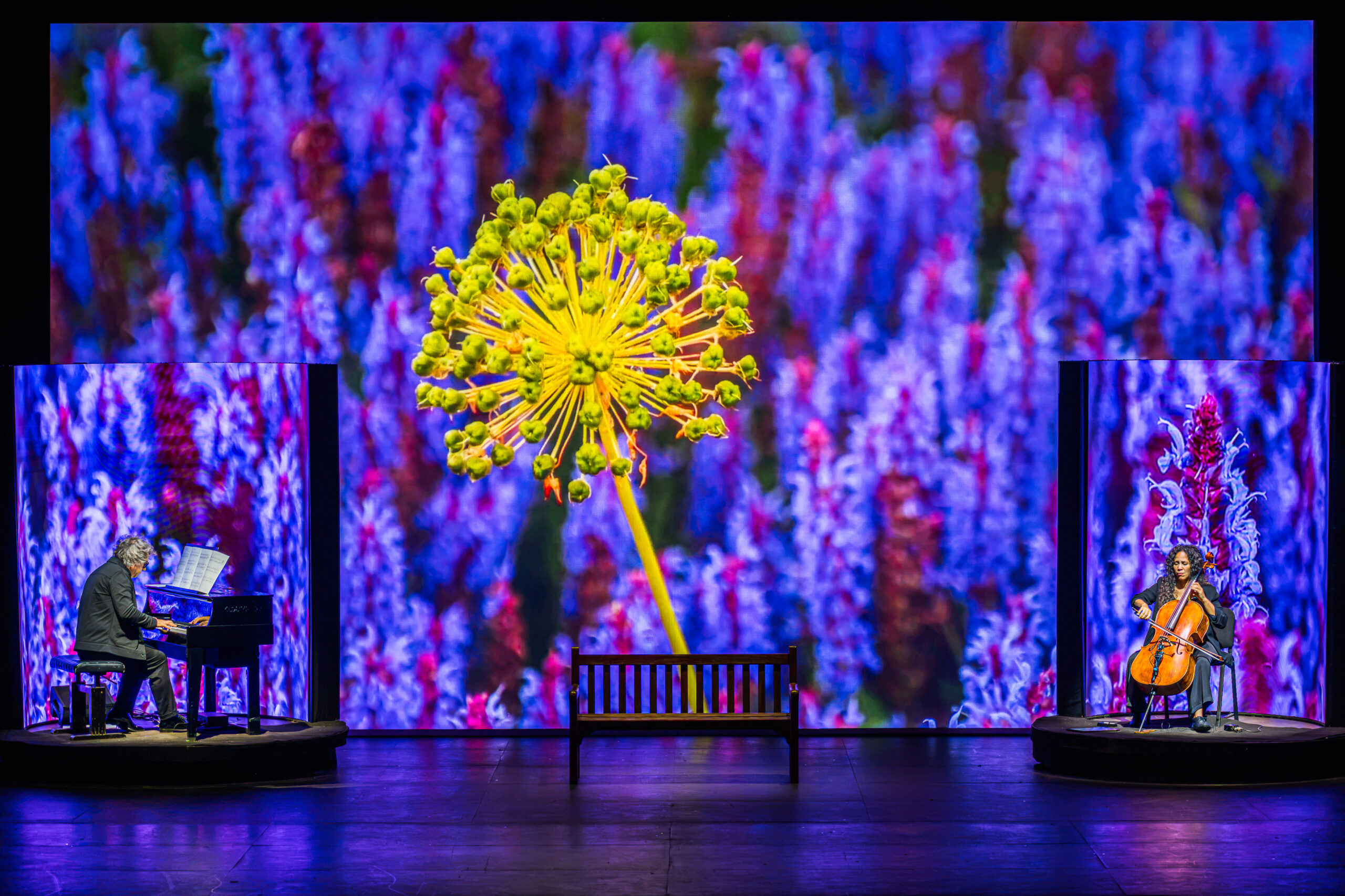 Monet. Una vita a colori – 8 novembre